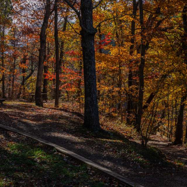 Bench. Weather forecasts with beautiful photos by krantzjh Photos in Clifty Falls State Park