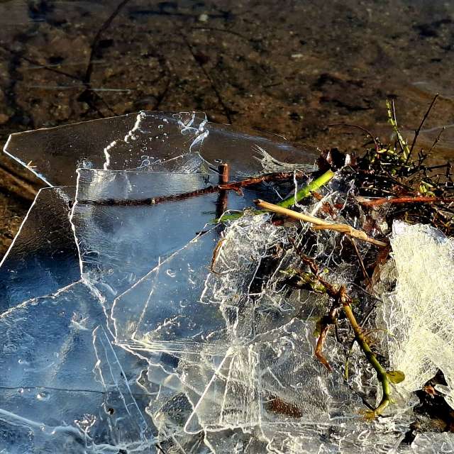 Прогнозы погоды с чудесными фотографиями, сделанными schimi