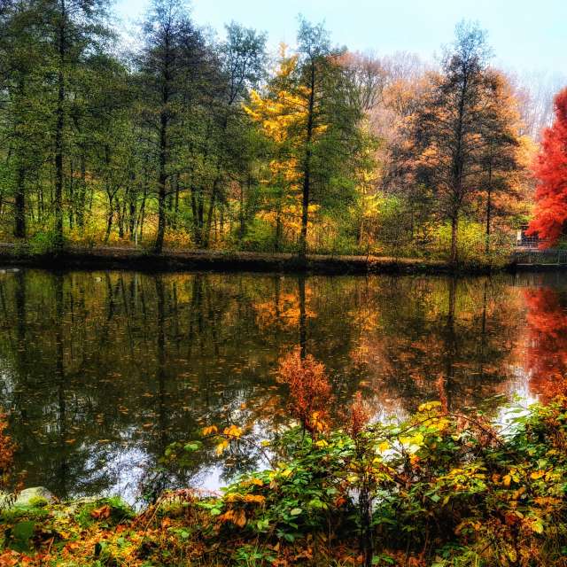 GREENE. Weather forecasts with beautiful photos by Gweiland Photos in World