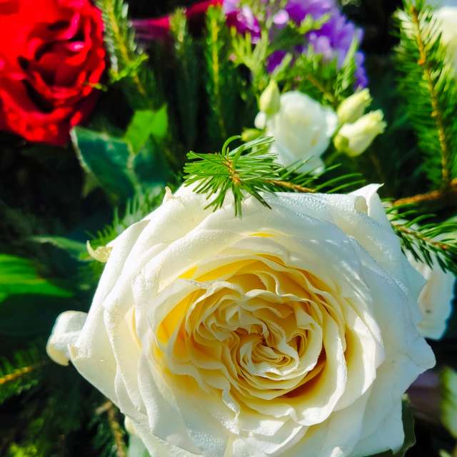 Weather forecasts with beautiful photos by VersusPoint