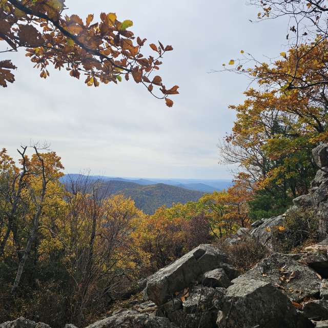 天气预报，带ImPe精美的照片