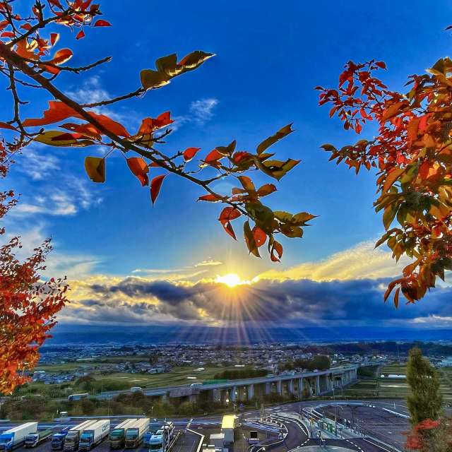 Tree. Weather forecasts with beautiful photos by Kasumisou Photos in Saku-shi