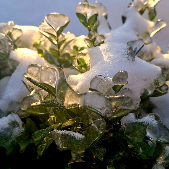 Weather forecasts with beautiful photos by Iryna