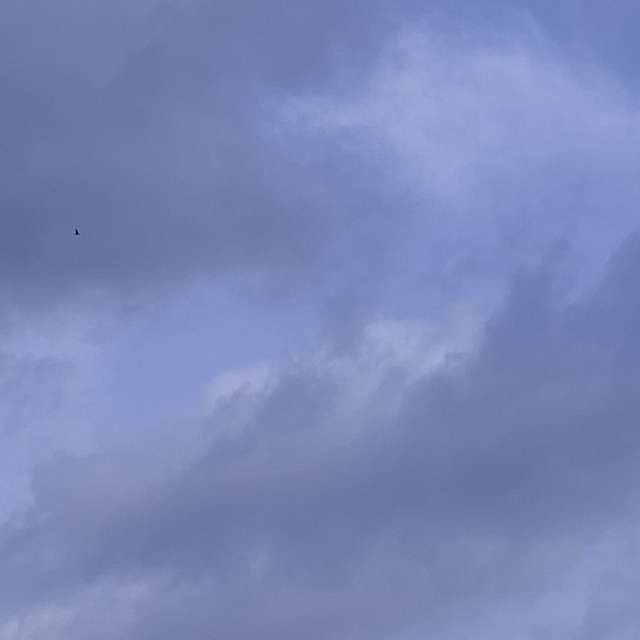 Fotos Dia. Previsões do tempo com lindas fotos de Wen-ya Huang em Kaohsiung City