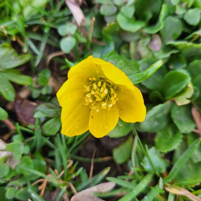 Прогнозы погоды с чудесными фотографиями, сделанными aida-khaldi