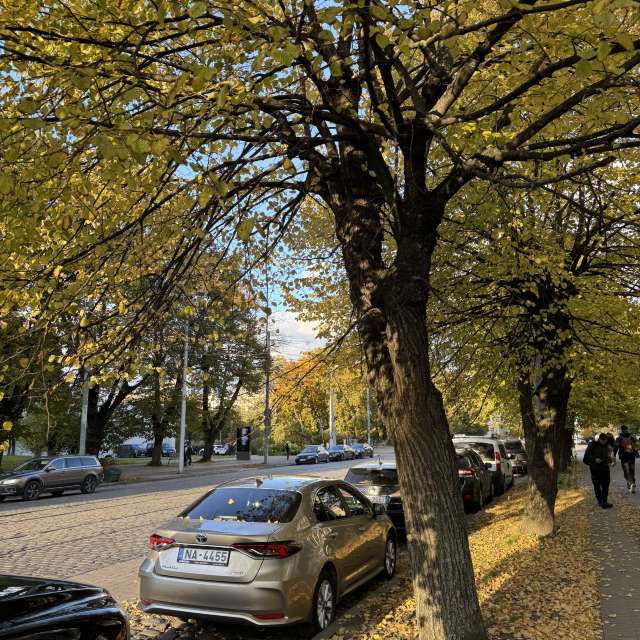 Many. Weather forecasts with beautiful photos by Svet-Lana Photos in Rīga