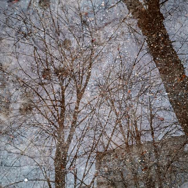 Weather forecasts with beautiful photos by Iryna