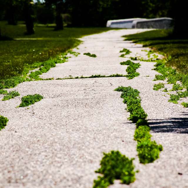 Weather forecasts with beautiful photos by 1stEyeFocused