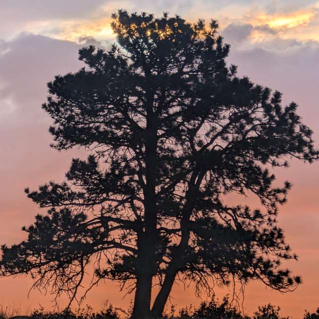 Fotos del Grande. Pronósticos del tiempo con hermosas fotos de BonnieC85 en Elbert