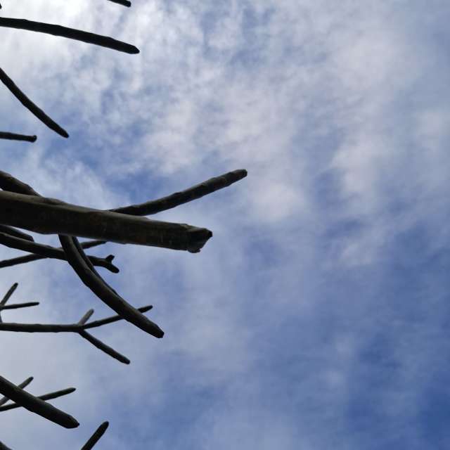 Fotos Lutador. Previsões do tempo com lindas fotos de Wen-ya Huang em Kaohsiung City