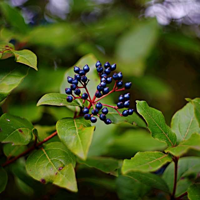 Weather forecasts with beautiful photos by tony5636