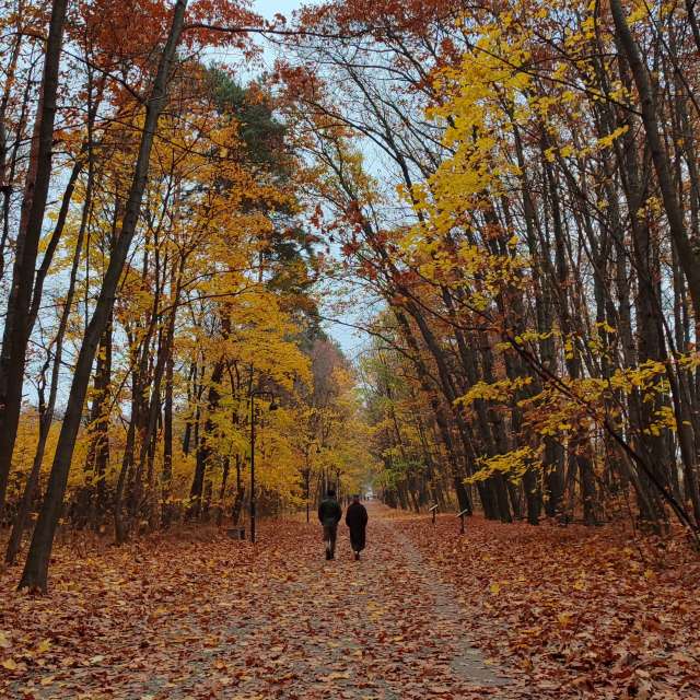 Weather forecasts with beautiful photos by Romek58