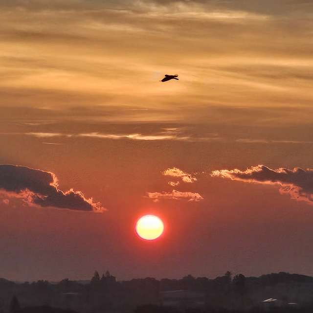 Прогнозы погоды с чудесными фотографиями, сделанными Thinner1000