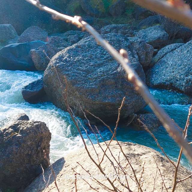 Zoo. Weather forecasts with beautiful photos by fatemehahmadpour1 Photos in World