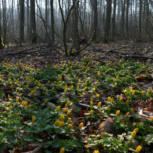 Fotos Abordado. Previsões do tempo com lindas fotos de Vasek325 em Praha 4