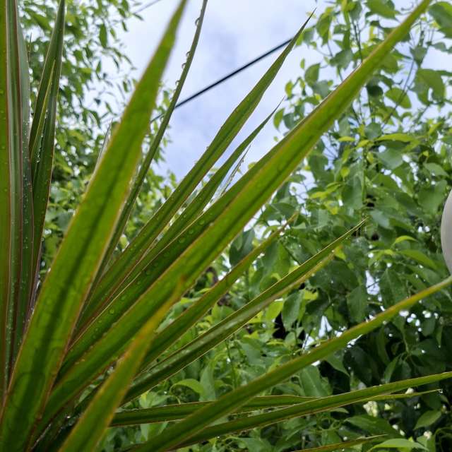 Fotos Alto. Previsões do tempo com lindas fotos de Wen-ya Huang em Kaohsiung City