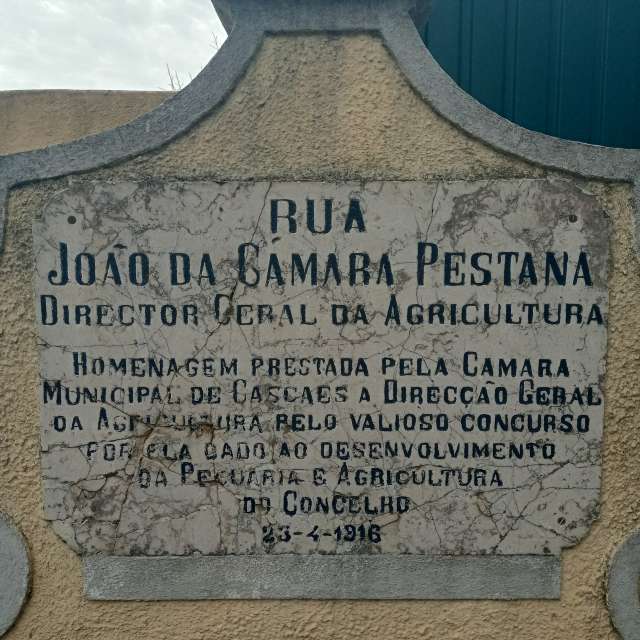 Prévisions météo avec de superbes photos de Joaquim Fonseca