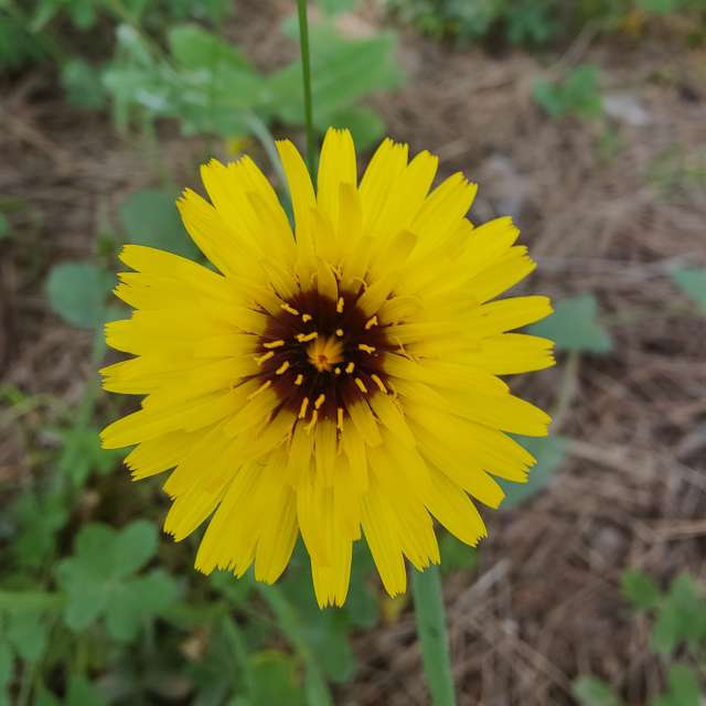 Sitting. Weather forecasts with beautiful photos by Jorgeton75 Photos in Málaga