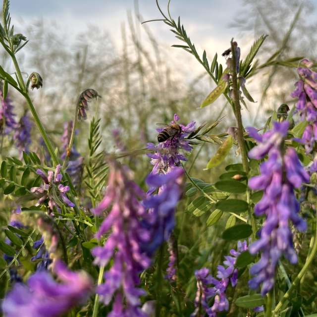 Teshkovo的Weather. 天气预报，带Stassy精美的照片照片