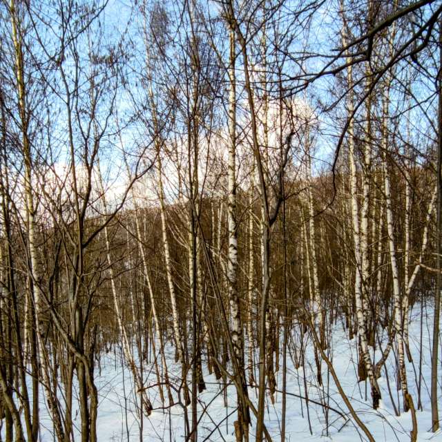 Gruppe. Wettervorhersagen mit schönen Fotos von Kripo Fotos Ladek Zdroj