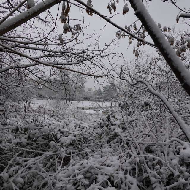 Fotos Madeira. Previsões do tempo com lindas fotos de Vasek325 em Praha 4