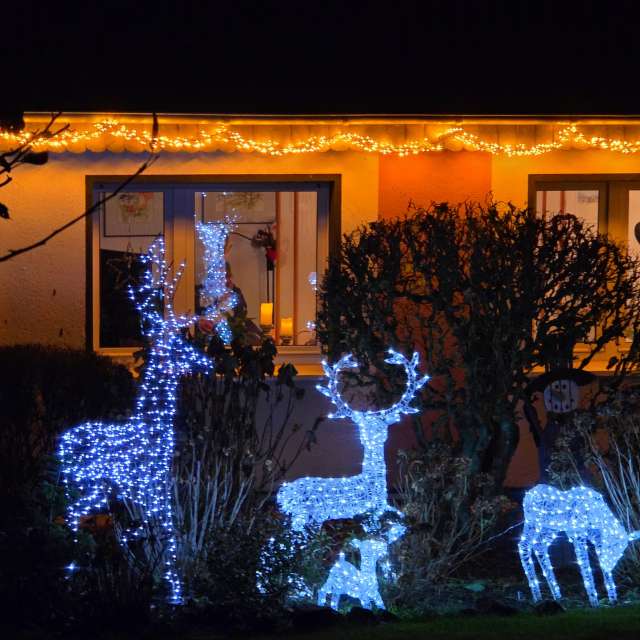 Fotos Vivendo. Previsões do tempo com lindas fotos de Seni em Velbert