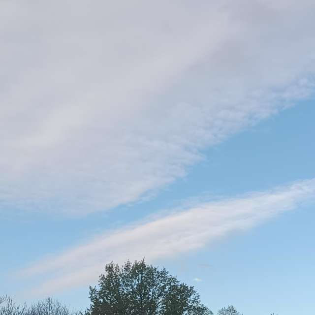 Fotos del Nieve. Pronósticos del tiempo con hermosas fotos de YanBog en Bucharest