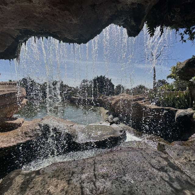 Bear. Weather forecasts with beautiful photos by czach Photos in World