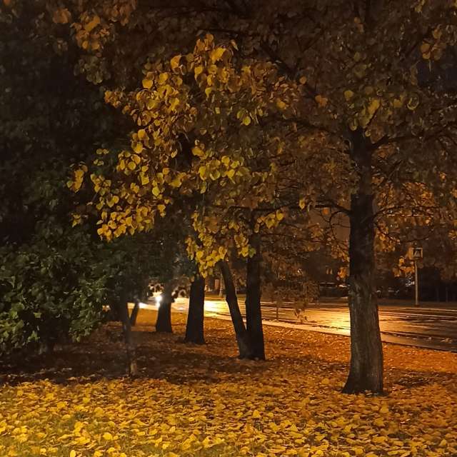 Weather forecasts with beautiful photos by Ратибор