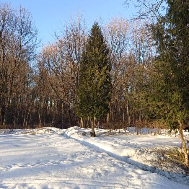 Weather Photos in World. Weather forecasts with beautiful photos by Amanda_and_Valdemar_Che