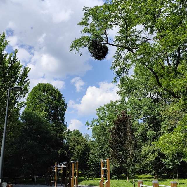 Фото Path. Прогнозы погоды с чудесными фотографиями, сделанными DeniMixArt в Силезское воеводство