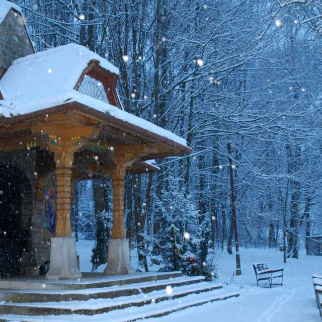 Weather forecasts with beautiful photos by Marcela Cervenakova