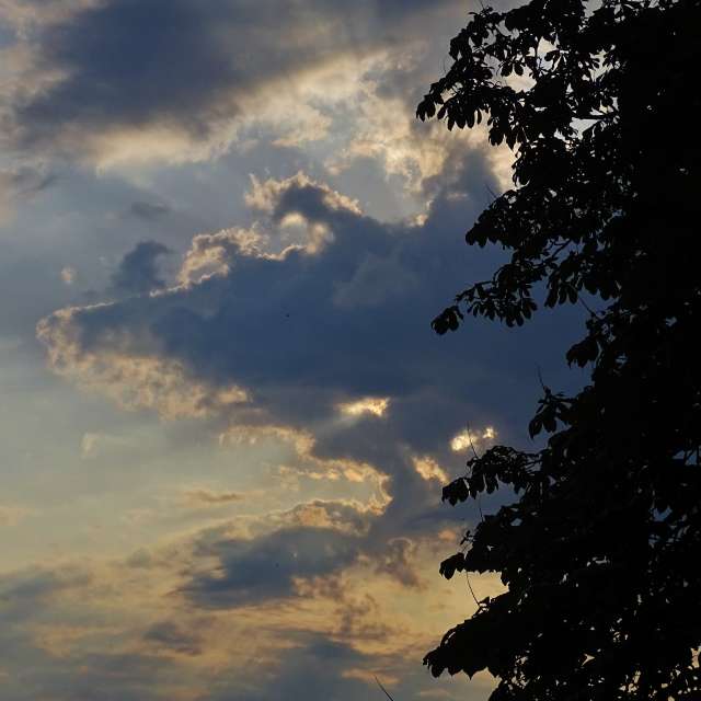 Overlooking. Weather forecasts with beautiful photos by Михаил Гавриков Photos in Kharkiv