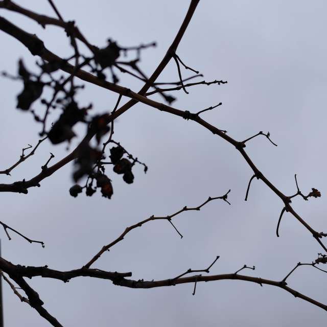 Pronósticos del tiempo con hermosas fotos de Abo_Malek