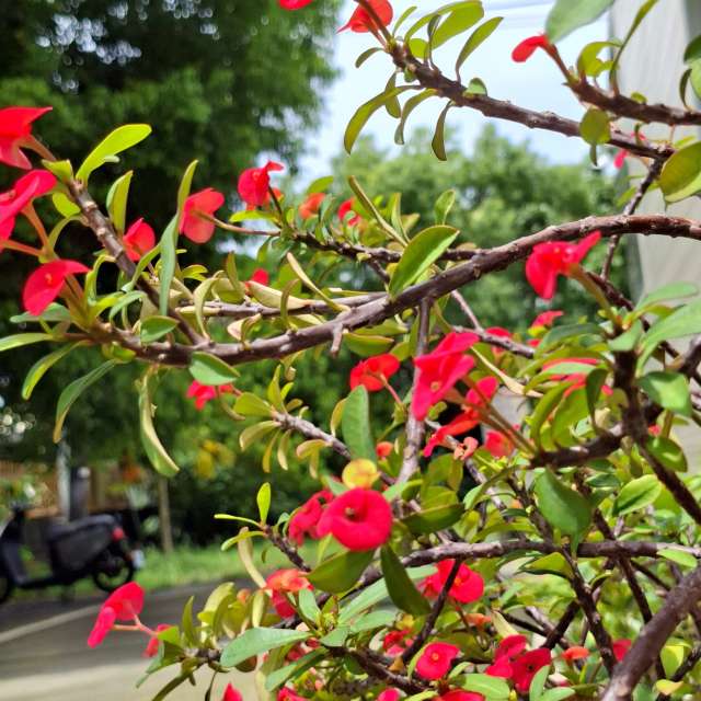 Photos Femme. Prévisions météo avec de superbes photos de Wen-ya Huang de Kaohsiung