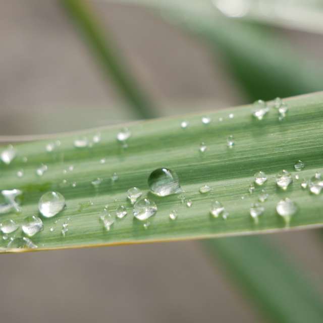 Photos Pluie. Prévisions météo avec de superbes photos de Miloš_SK de Sereď