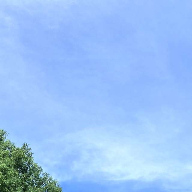 Boat. Weather forecasts with beautiful photos by Wen-ya Huang Photos in Kaohsiung City