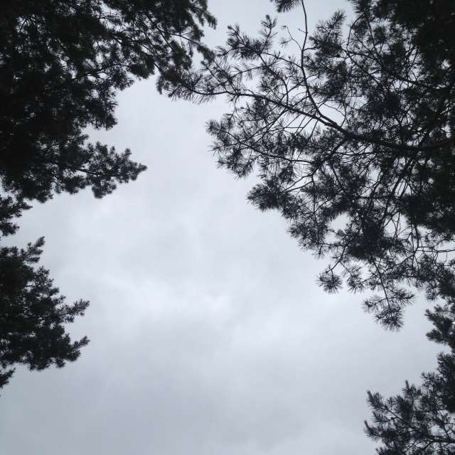 Weather forecasts with beautiful photos by starwars