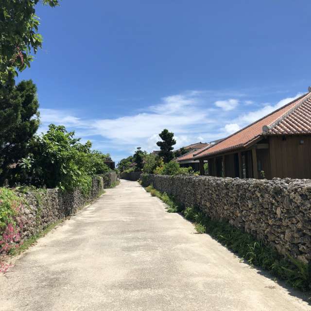 Weather forecasts with beautiful photos by web3dao