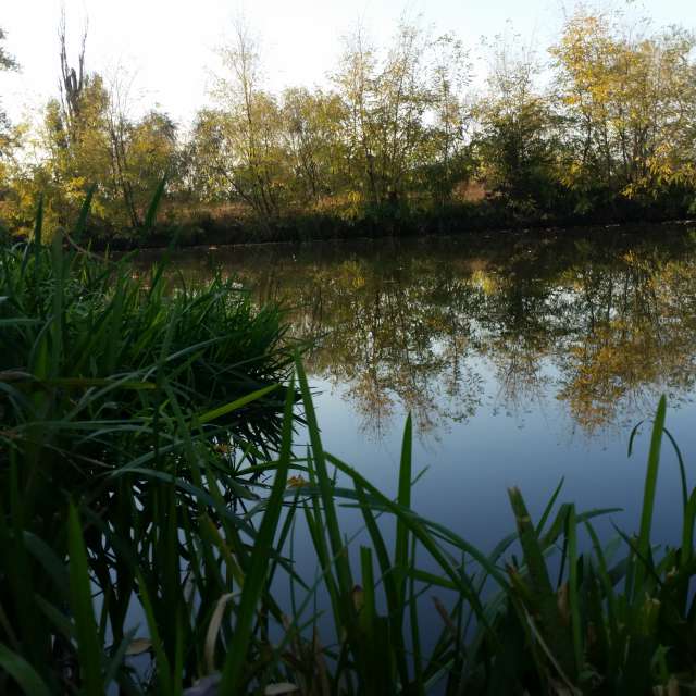 Timiș ದ Pond. Lupsaman ಅವರ ಸುಂದರವಾದ ಫೋಟೋಗಳೊಂದಿಗೆ ಹವಾಮಾನ ಮುನ್ಸೂಚನೆಗಳು ಫೋಟೋಗಳು