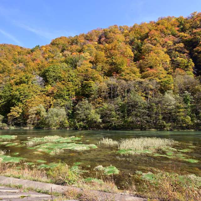 Weather forecasts with beautiful photos by yoshy