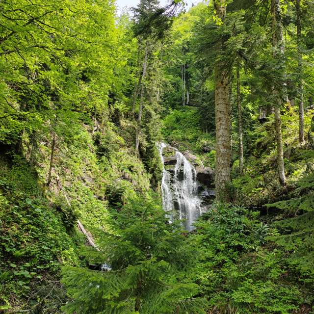 Path. Weather forecasts with beautiful photos by Albert_Smelovtsev Photos in Roza Khutor