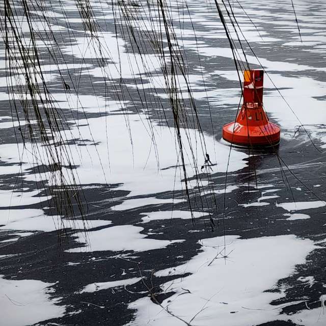 天气预报，带Gaucho精美的照片