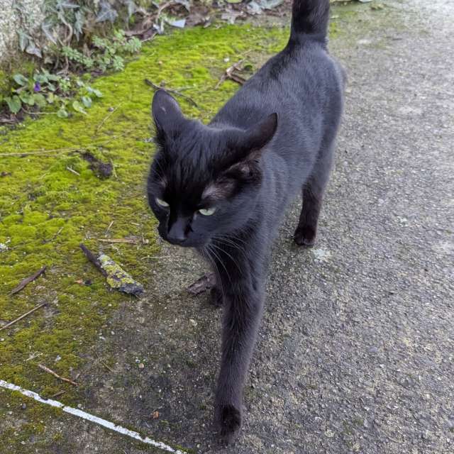 Previsões do tempo com lindas fotos de Roytinez31