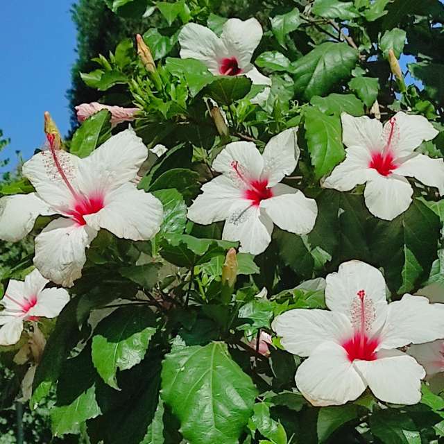 Pronósticos del tiempo con hermosas fotos de Yuval