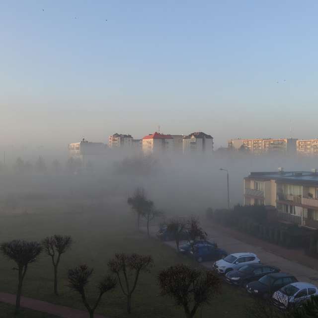 Fotos del Oveja. Pronósticos del tiempo con hermosas fotos de Romek58 en Wieluń