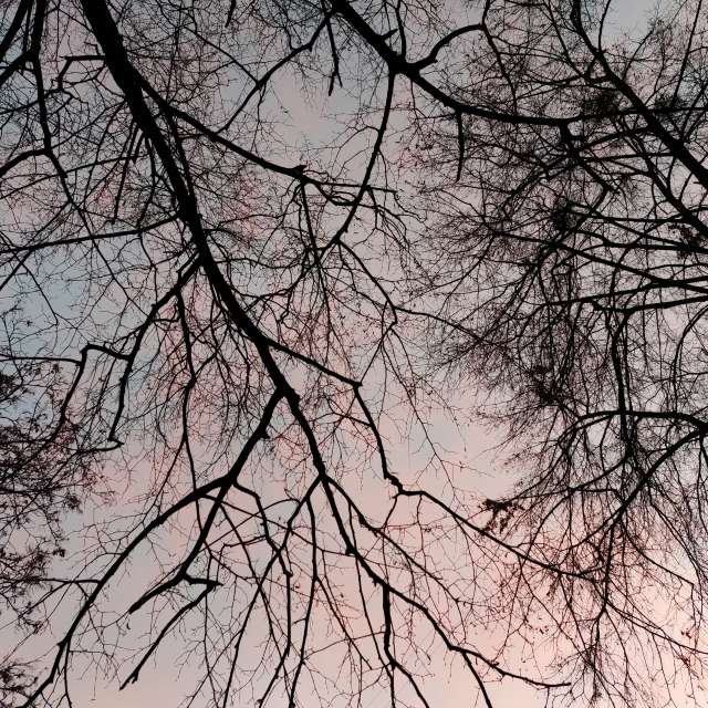 Open. Weather forecasts with beautiful photos by Iryna Photos in Kharkiv