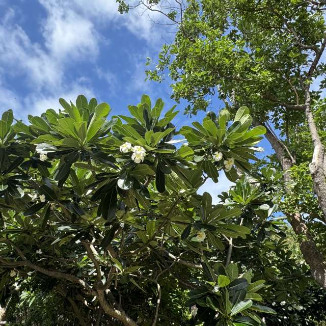 Weather forecasts with beautiful photos by web3dao