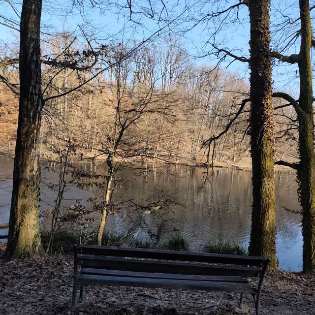 IvanaBの美しい写真による天気予報