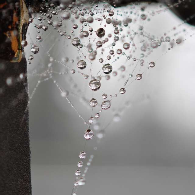 Pronósticos del tiempo con hermosas fotos de Fabri